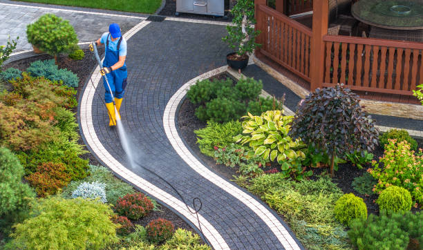 Best Pressure Washing Services Near Me  in Elmira Heights, NY